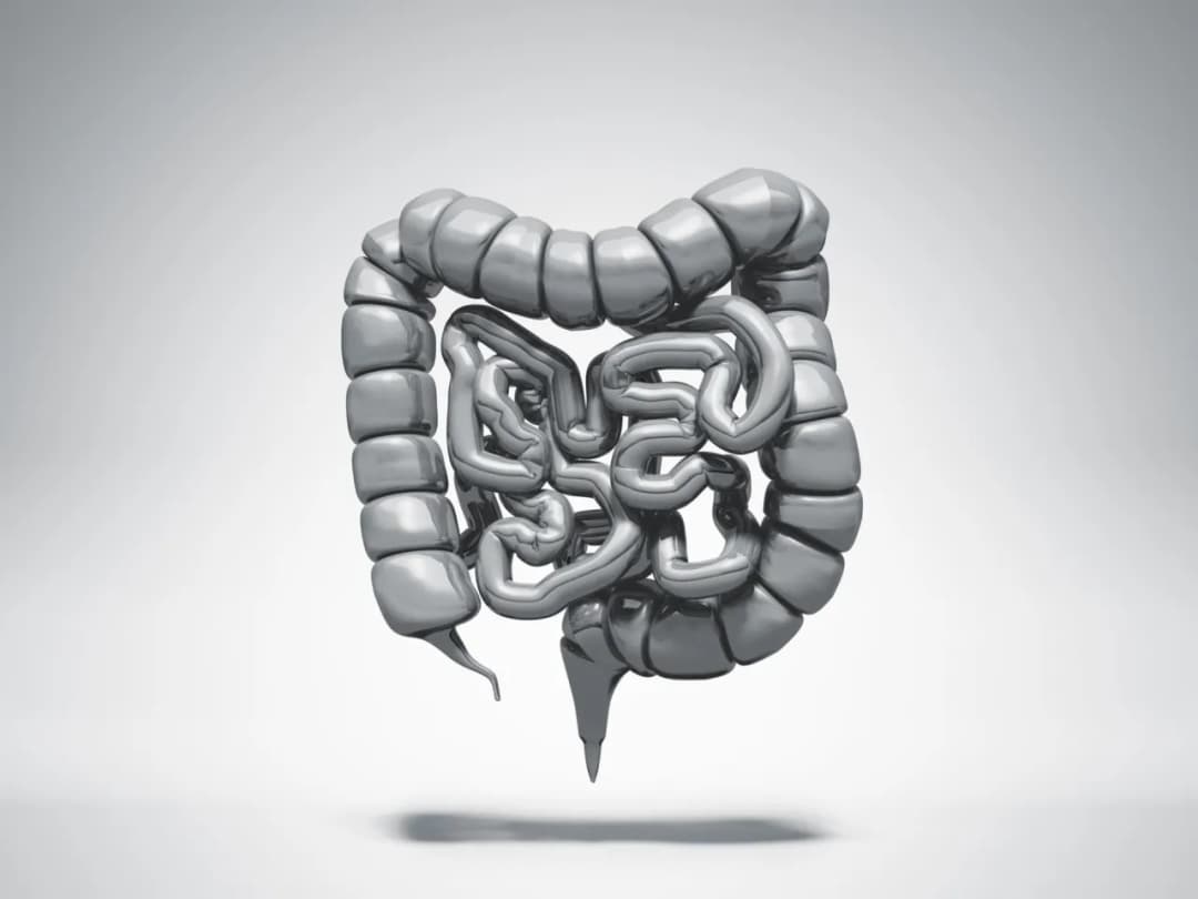 Zastawka Bauhina objawy: Jak rozpoznać problemy i uniknąć bólu