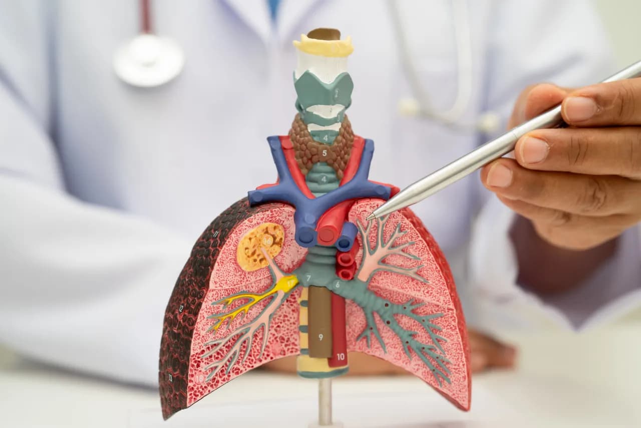 Jaki lekarz od płuc pomoże w problemach z oddychaniem i zdrowiem?